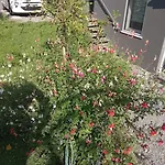 Apartman Le Jardin D'horace O Im Garten Von Horaz *