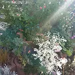 Le Jardin D'horace O Im Garten Von Horaz Apartman *