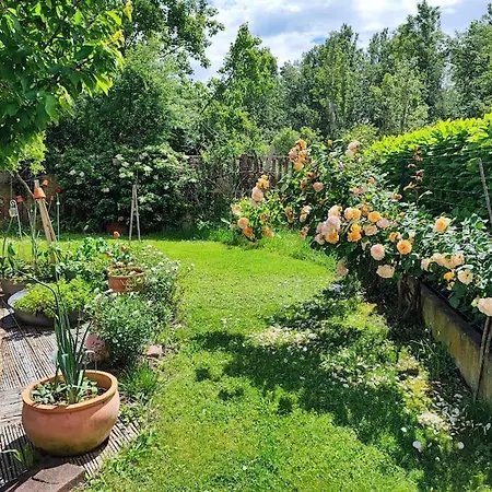 Le Jardin D'horace O Im Garten Von Horaz Apartment Volgelsheim