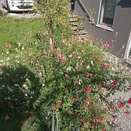 Apartament Le Jardin D'horace O Im Garten Von Horaz *