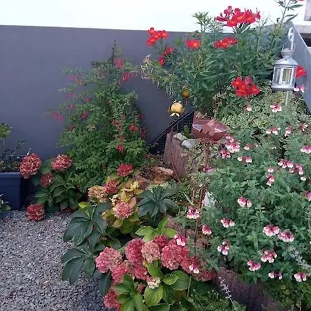 Apartment Le Jardin D'horace O Im Garten Von Horaz