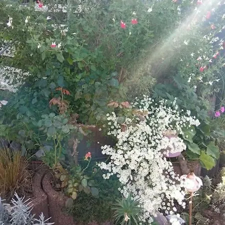 Le Jardin D'horace O Im Garten Von Horaz Apartament *