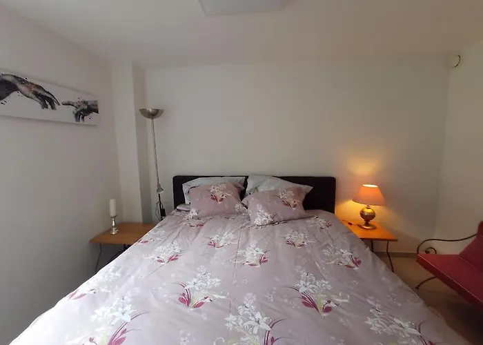 Le Jardin D'horace O Im Garten Von Horaz Apartament Volgelsheim