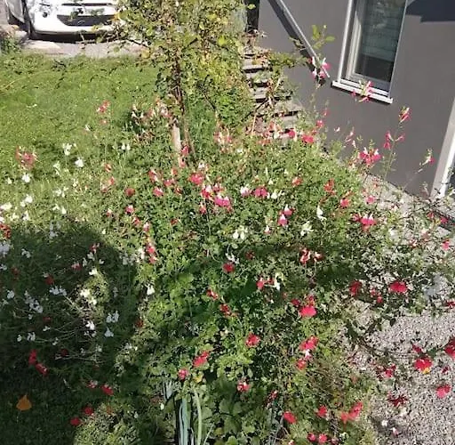 Apartament Le Jardin D'horace O Im Garten Von Horaz *